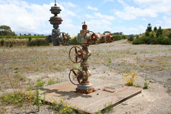 The old Cardiff 2A wellhead. Doesn’t look like much but there's gas down there.